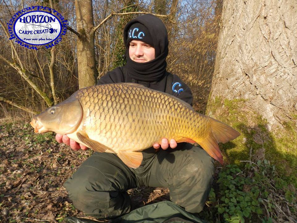 ANTHONY ZAMBELLI - TESTEUR HCC