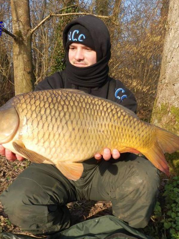 ANTHONY ZAMBELLI  - TESTEUR HCC