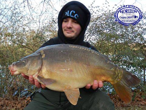 ANTHONY ZAMBELLI - TESTEUR HCC