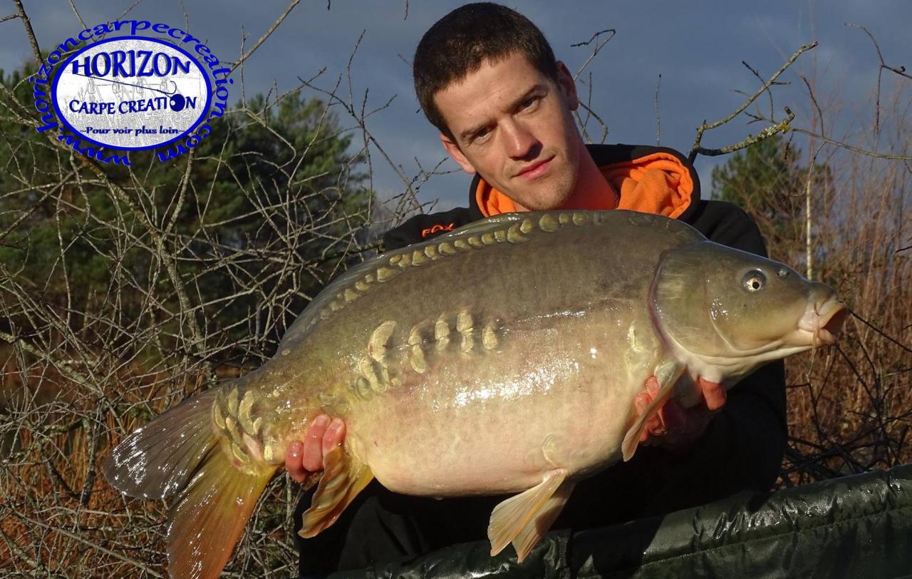 JULIEN DELHOUME - CONSULTANT HCC