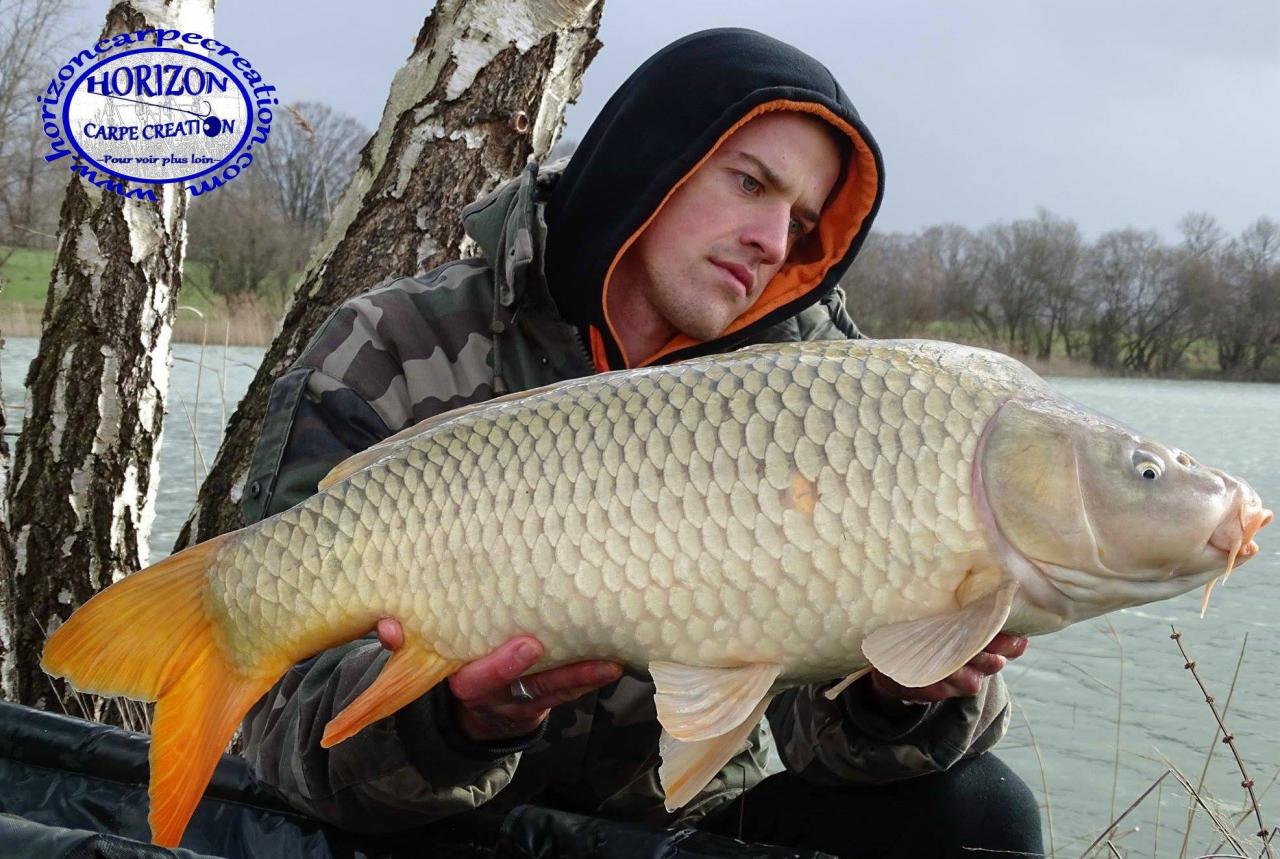 JULIEN DELHOUME - CONSULTANT HCC