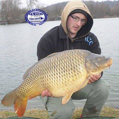 CEDRIC HAVY - CONSULTANT HCC