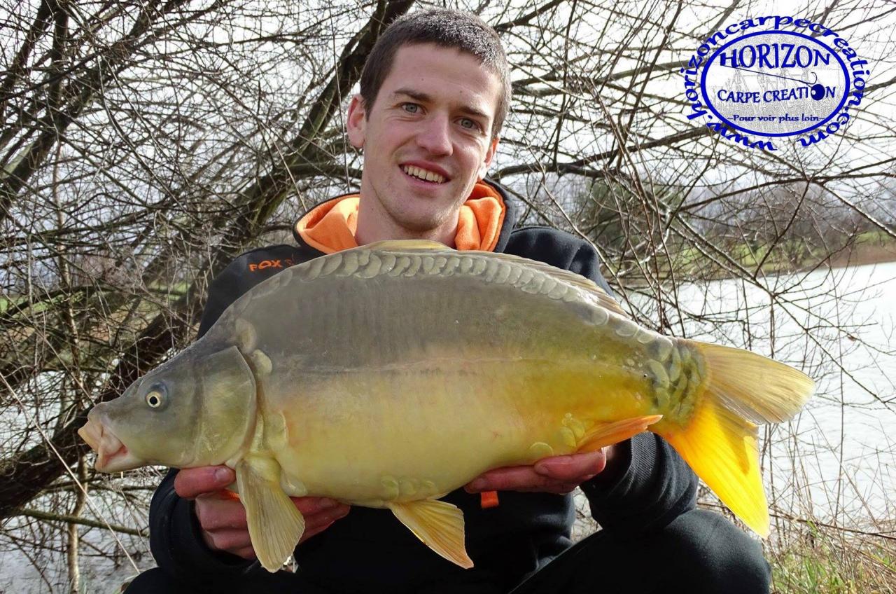 JULIEN DELHOUME - CONSULTANT HCC