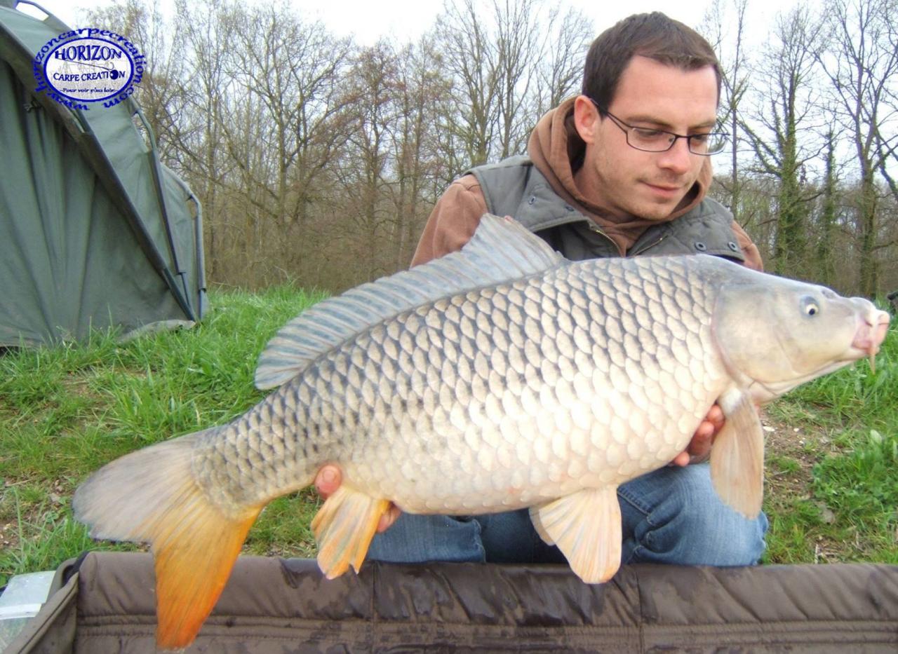 BAPTISTE FIORANI - TESTEUR HCC