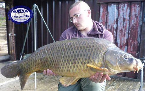 CEDRIC HAVY - CONSULTANT HCC