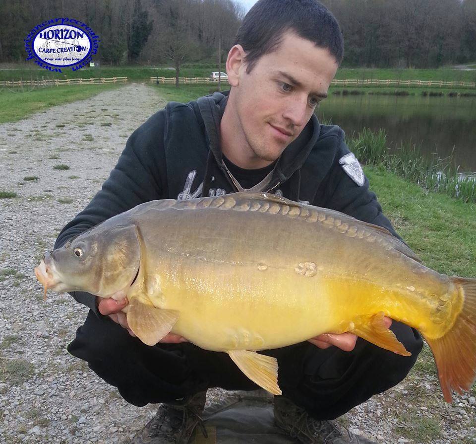 JULIEN DELHOUME - CONSULTANT HCC