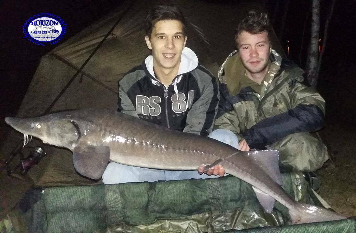 YOHANN WAROQUEAUX ET DONOVAN MEHAIGNOUL -  CONSULTANTS HCC