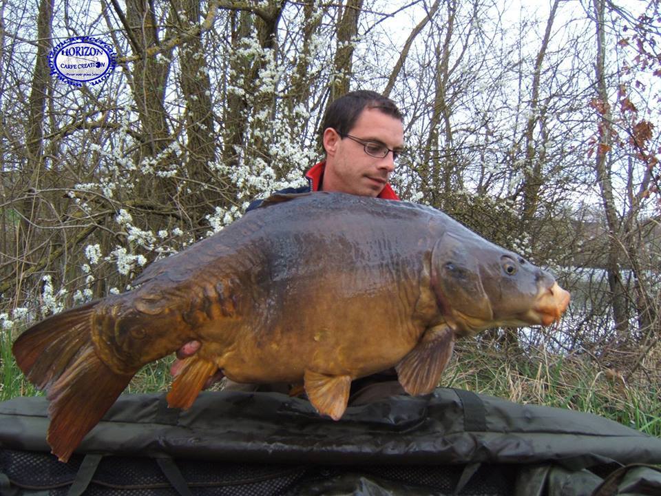 BAPTISTE FIORANI - TESTEUR HCC