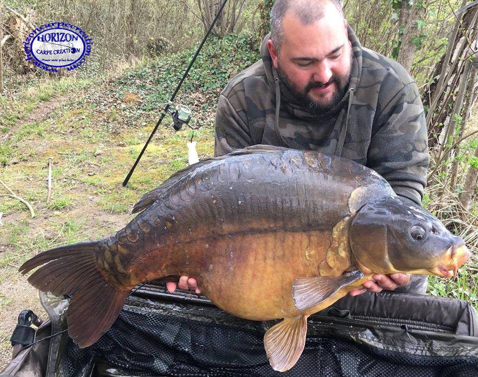 MICKAEL - TESTEUR HCC