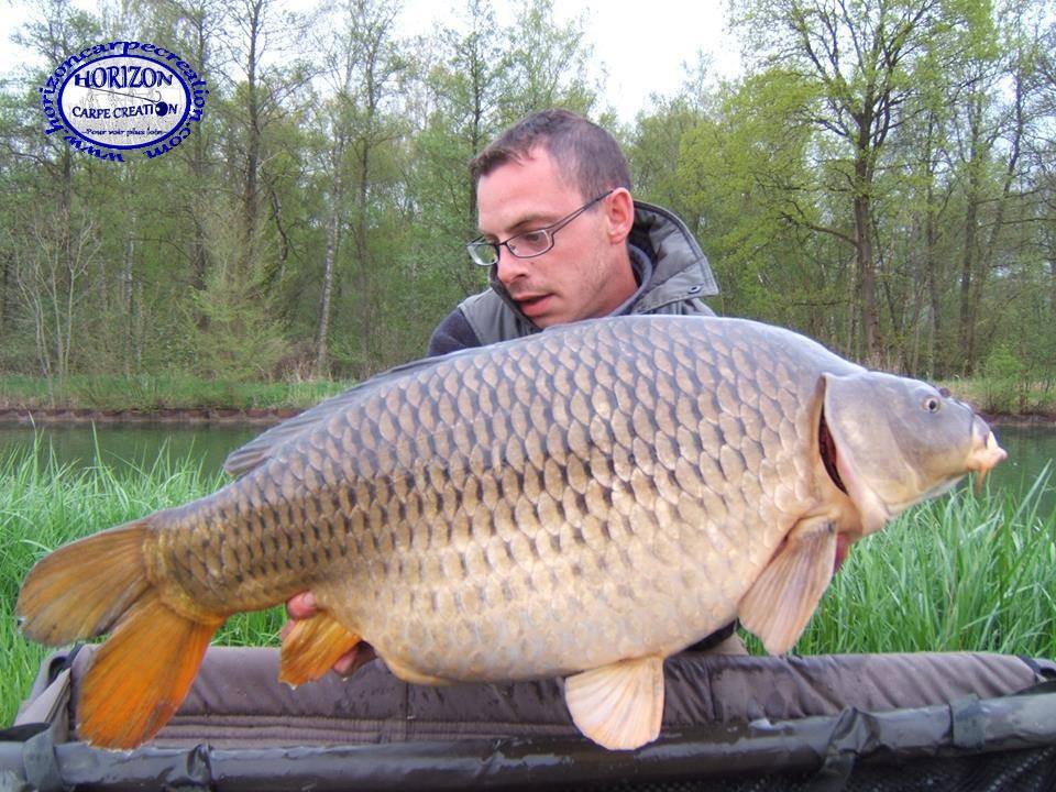 BAPTISTE FIORANI - TESTEUR HCC