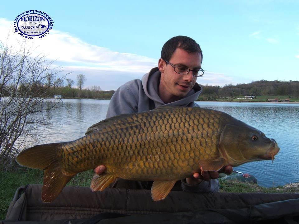 BAPTISTE FIORANI - TESTEUR HCC