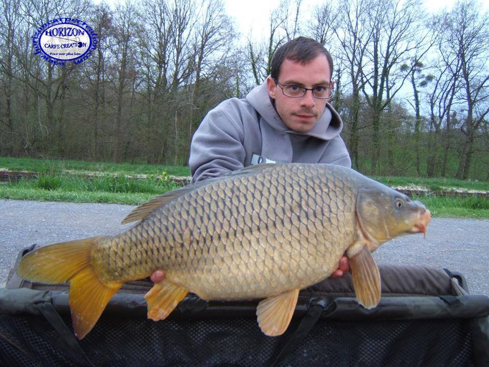 BAPTISTE FIORANI - TESTEUR HCC