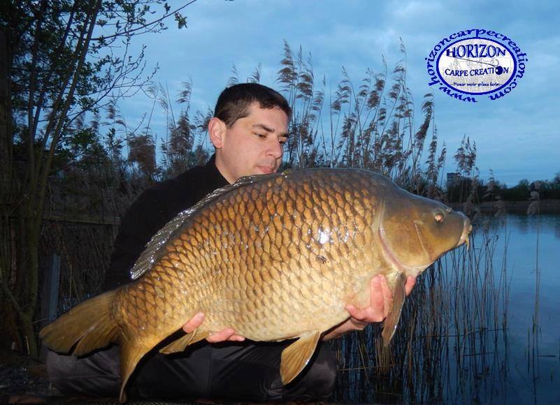 MICKAEL - TESTEUR HCC
