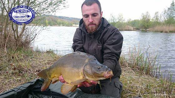 STEF - CONSULTANT HCC
