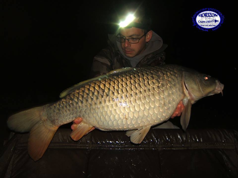 BAPTISTE FIORANI - TESTEUR HCC