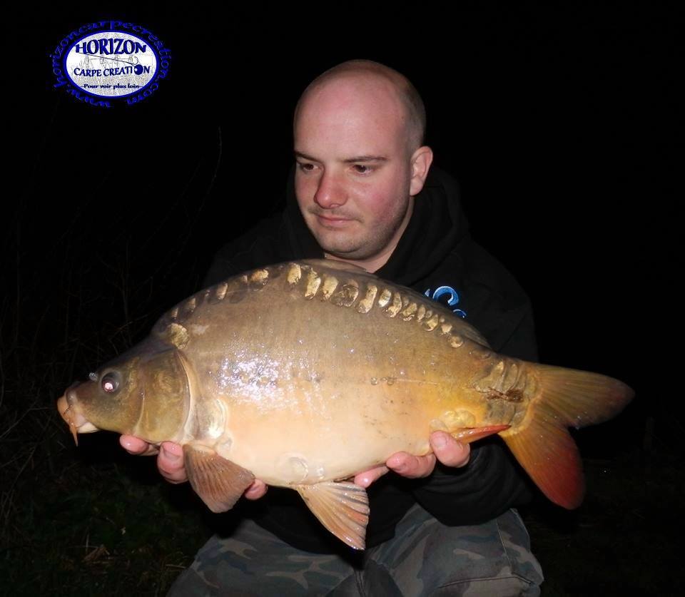 ANTHONY - TESTEUR HCC