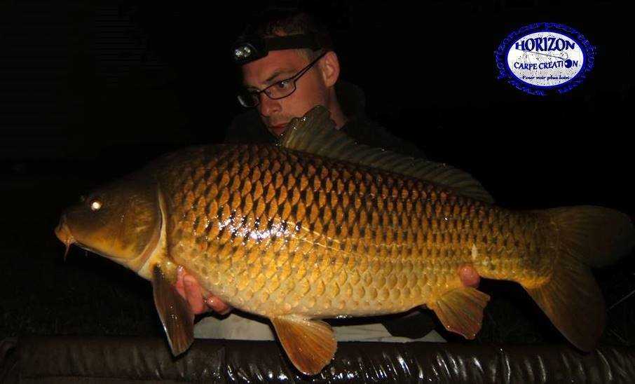 BAPTISTE FIORANI - TESTEUR HCC