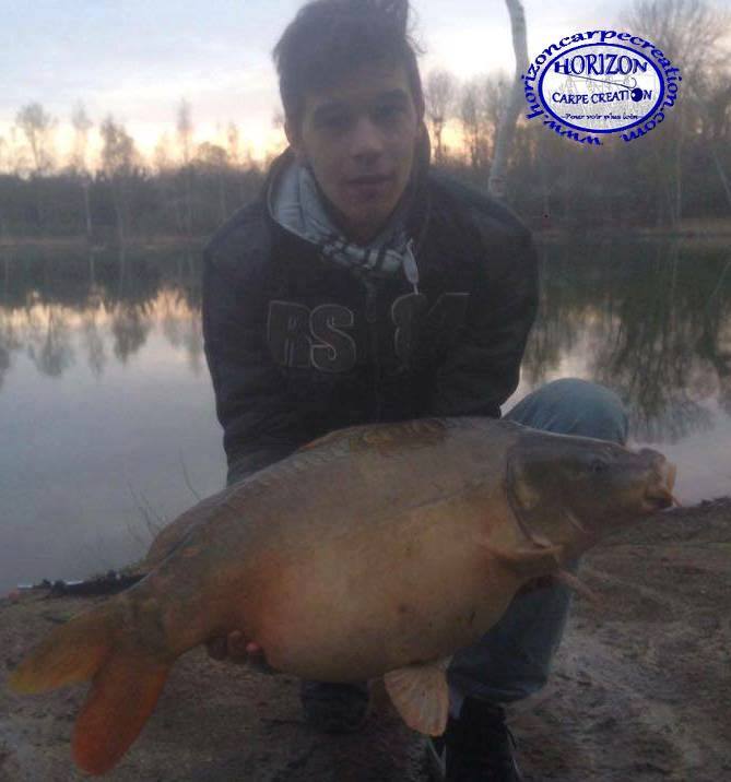 YOHANN WAROQUEAUX - CONSULTANT HCC