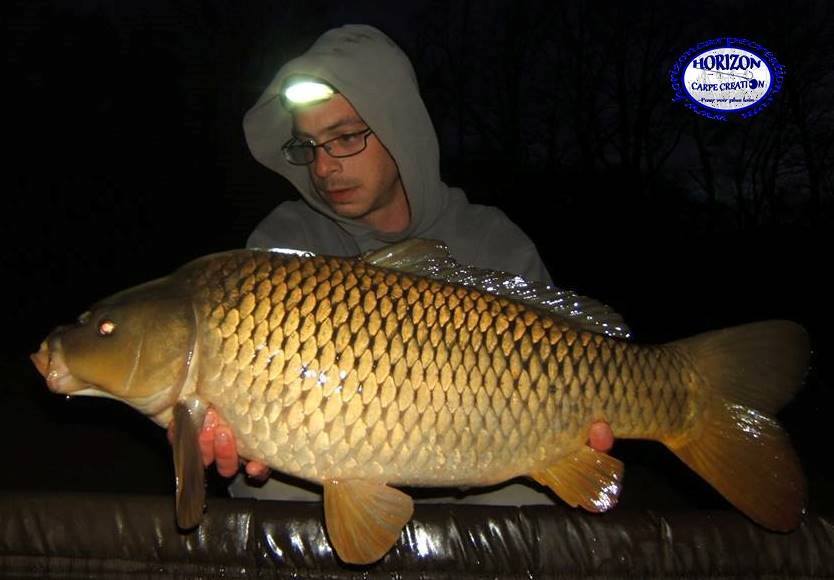 BAPTISTE FIORANI - TESTEUR HCC