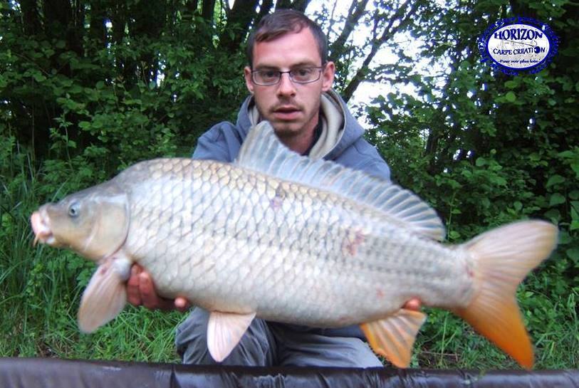BAPTISTE FIORANI - TESTEUR HCC