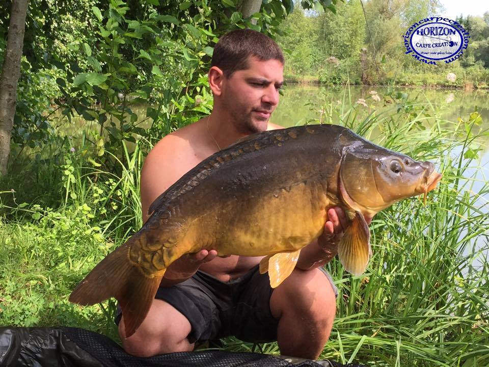 MICKAEL MACON - TESTEUR HCC