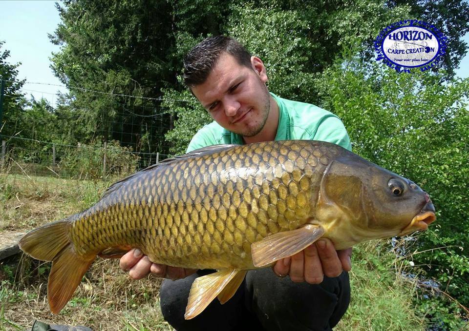 MICKAEL LAURENT - TESTEUR HCC