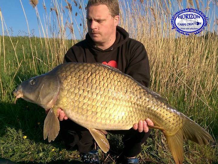 ALAN POYARD - CONSULTANT HCC