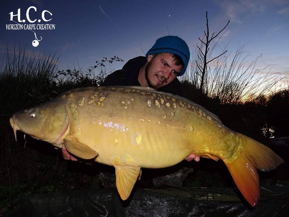 MICKAEL LAURENT - TESTEUR HCC