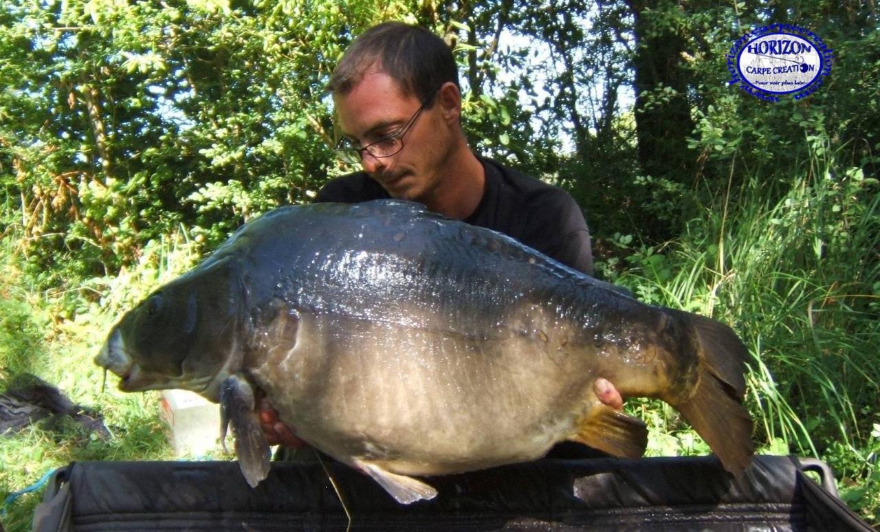 BAPTISTE FIORANI - TESTEUR HCC