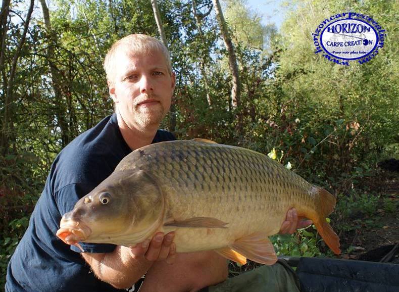 PIERRE  VIOGNIER - CONSULTANT HCC