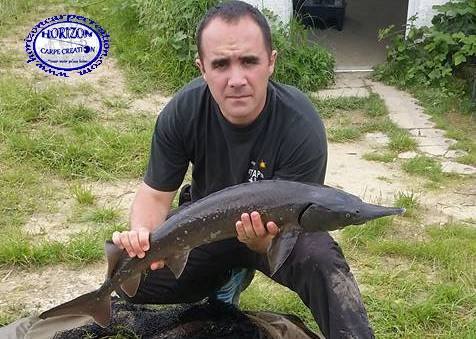 WILLIAM DESSE - CONSULTANT HCC