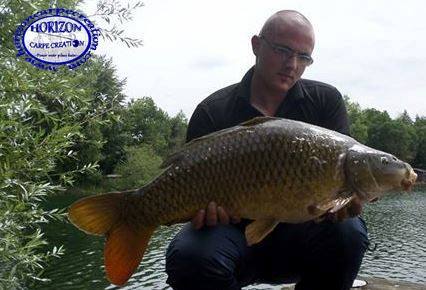 CEDRIC HAVY - CONSULTANT HCC
