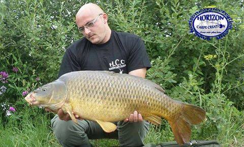 CEDRIC HAVY - CONSULTANT HCC
