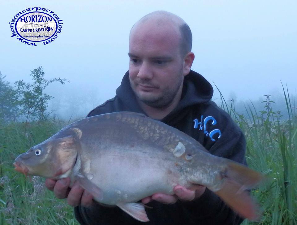 ANTHONY ZAMBELLI - TESTEUR HCC