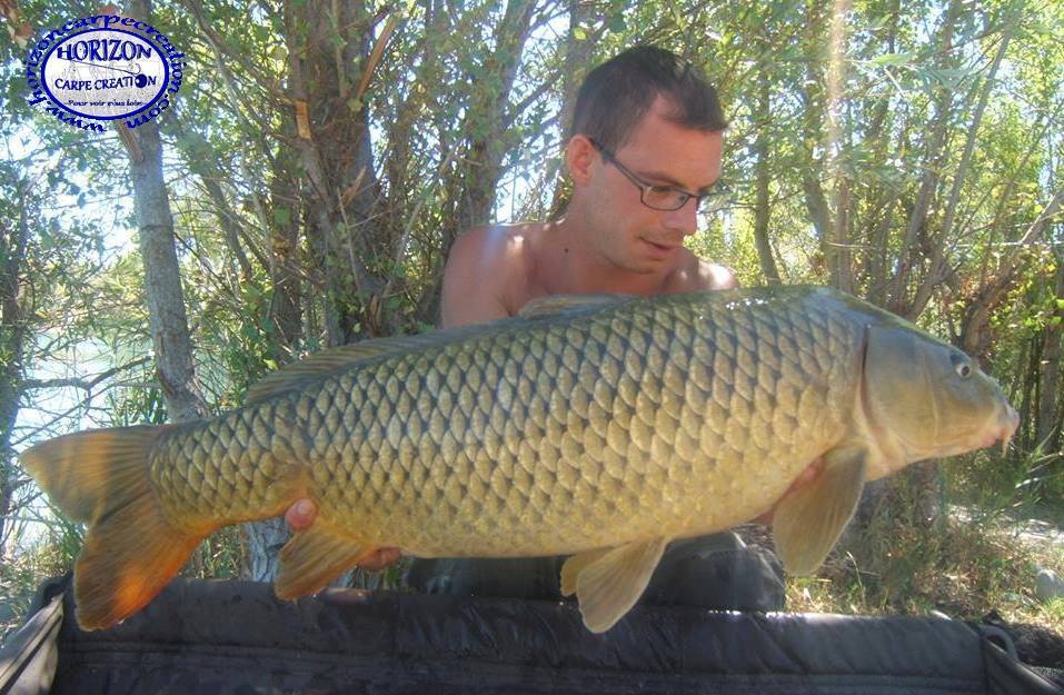 BAPTISTE FIORANI - TESTEUR HCC