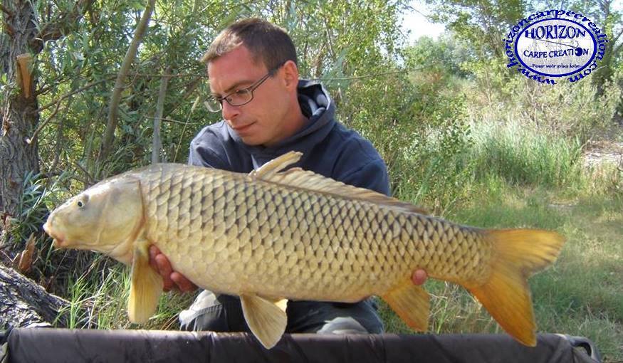 BAPTISTE FIORANI - TESTEUR HCC