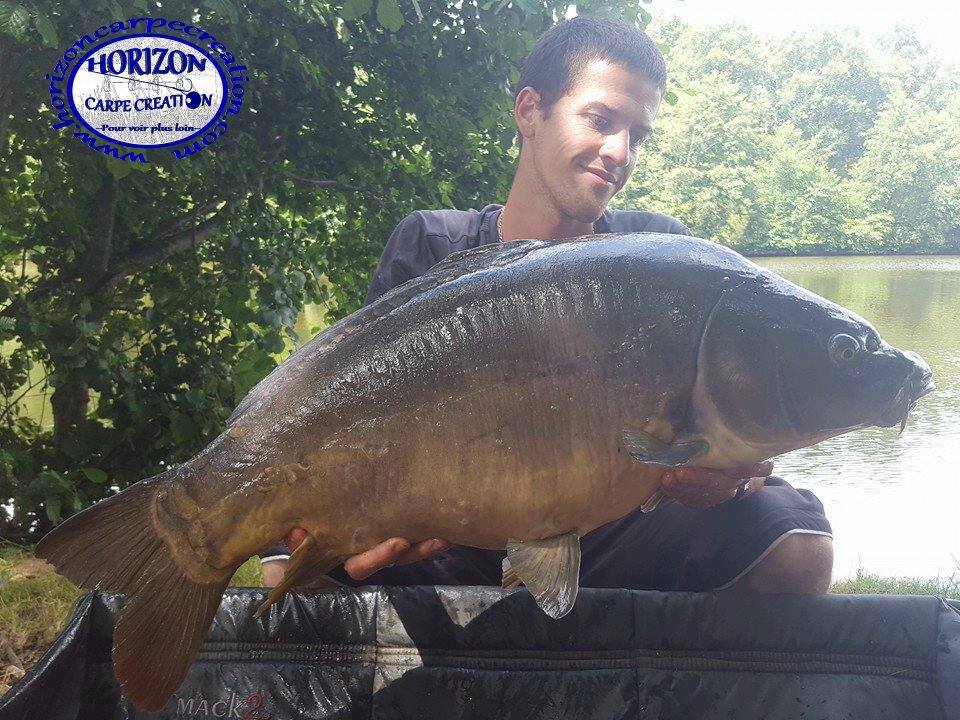 JULIEN DELHOUME - CONSULTANT HCC