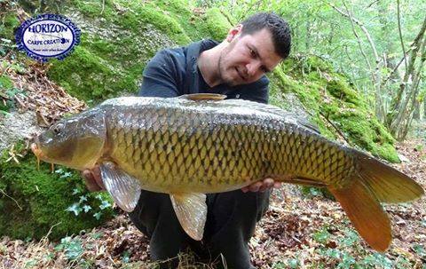 MICKAEL LAURENT - TESTEUR HCC