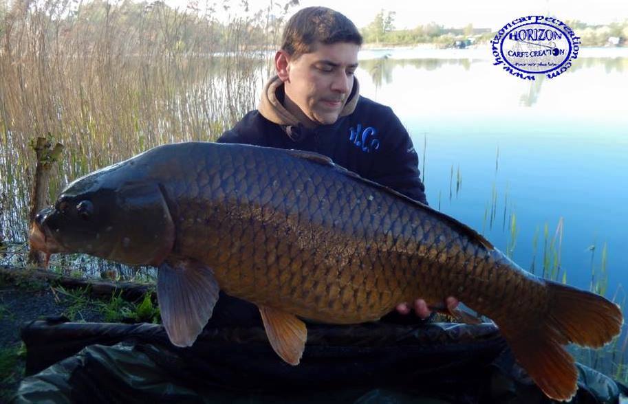 MICKAEL MACON - TESTEUR HCC