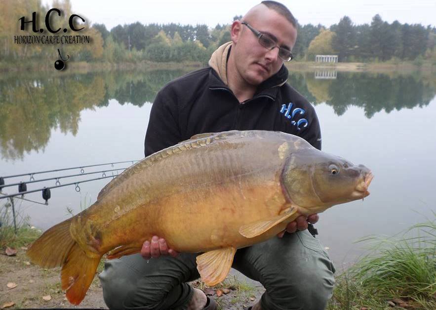 CEDRIC HAVY - CONSULTANT HCC