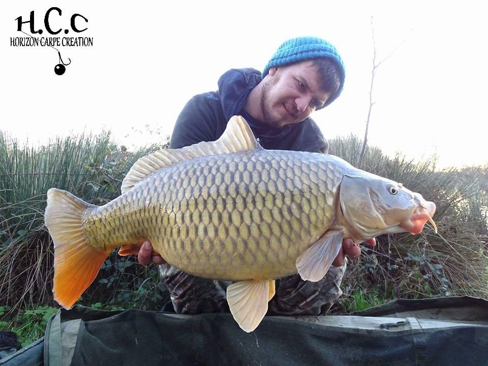 MICKAEL LAURENT - TESTEUR HCC
