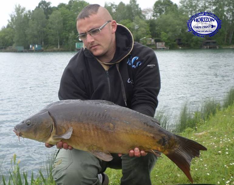 CEDRIC HAVY - CONSULTANT HCC