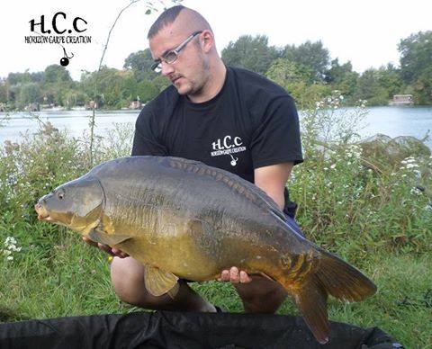 CEDRIC HAVY - CONSULTANT HCC