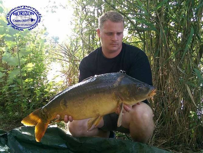 ALAN POYARD - CONSULTANT HCC