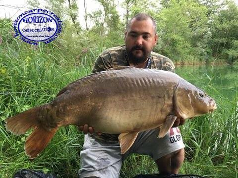 MICKAEL GAERTNER - TESTEUR HCC