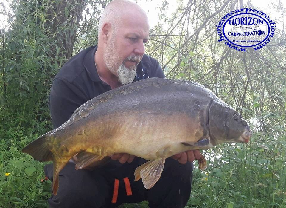 PHILIPPE MONTEGU - HCC