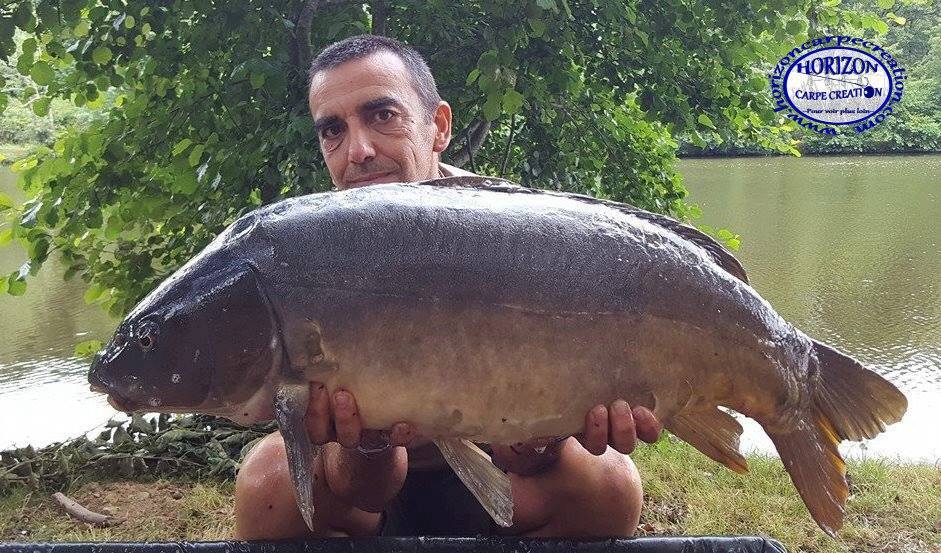 DELHOUME HCC