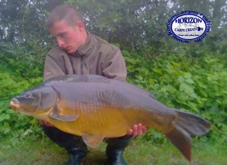 KEVIN - CONSULTANT HCC