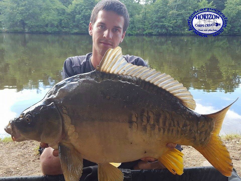 JULIEN DELHOUME - CONSULTANT HCC