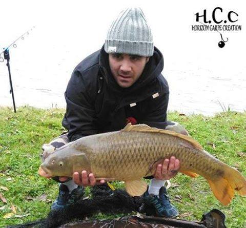 WILLIAM DESSE - CONSULTANT HCC